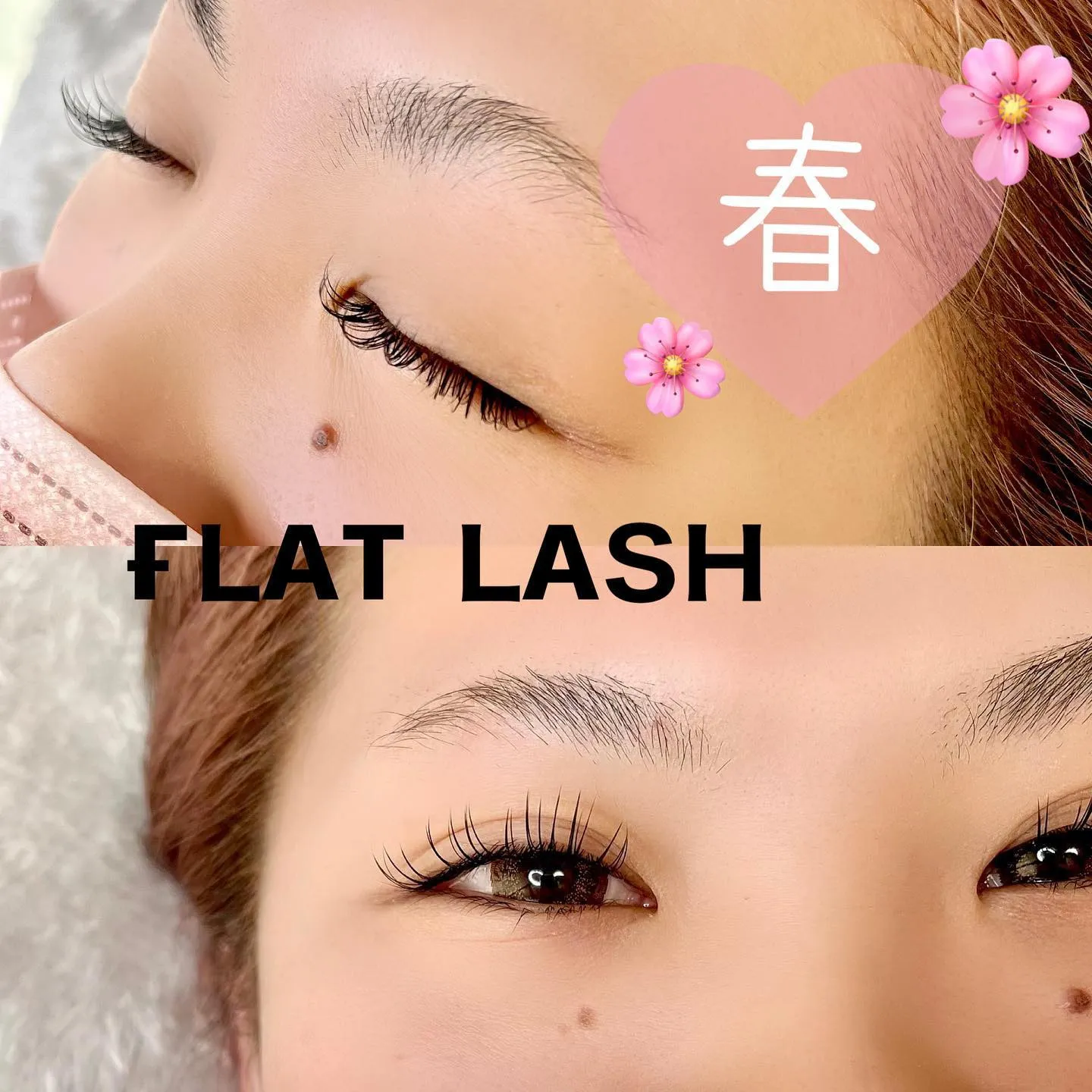 🐰ғʟᴀᴛ ʟᴀsʜ120本🐰