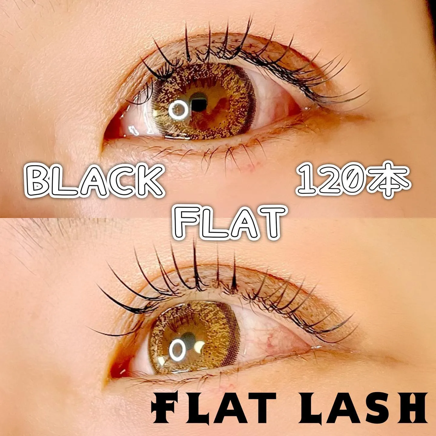 🐰ғʟᴀᴛ ʟᴀsʜ🐰